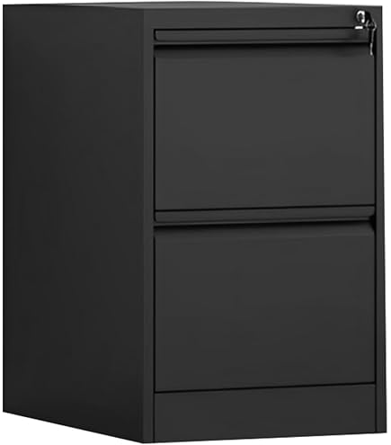 Amazon.co.jp: 【メーカー配送・設置・組立】プラス ファイリング